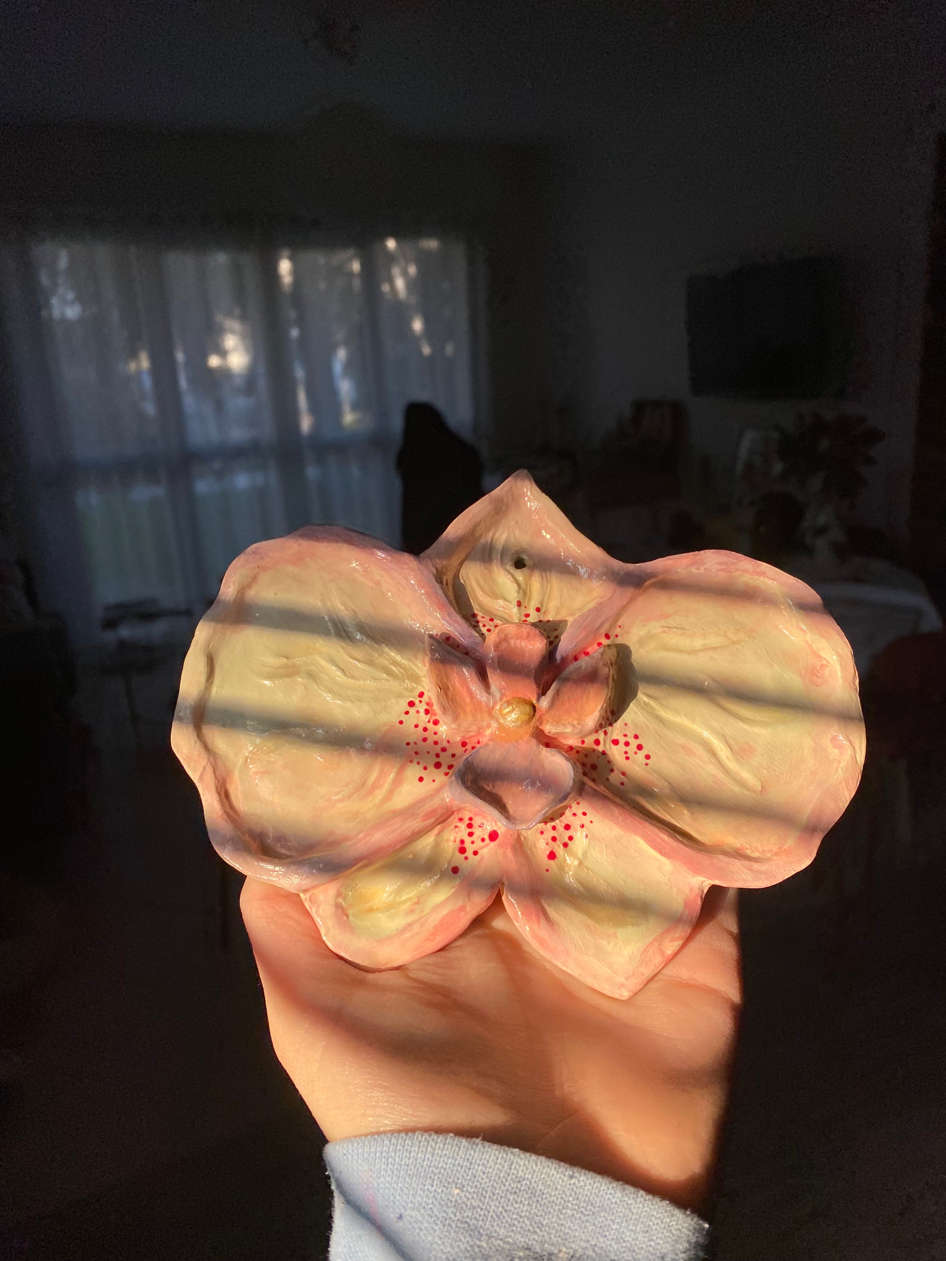 Orchidée à accrocher