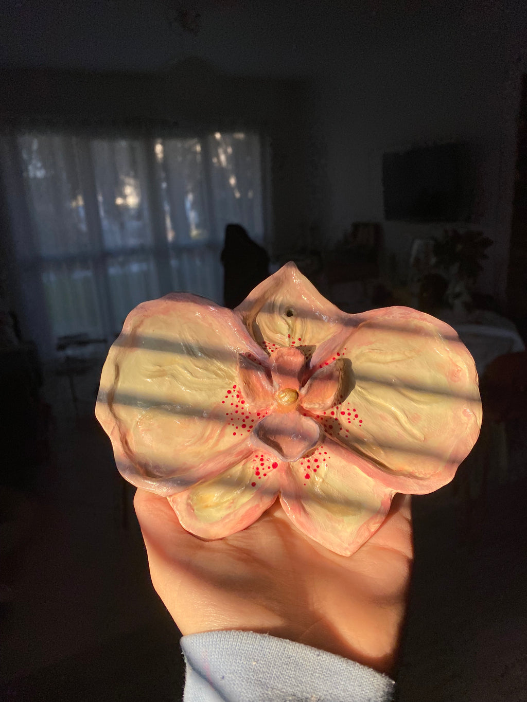 Orchidée à accrocher